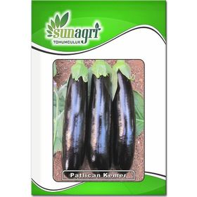 Sunagri 10 gr Kemer Patlıcan Tohumu