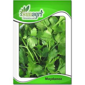 Sunagri 10 gr Maydonoz Tohumu