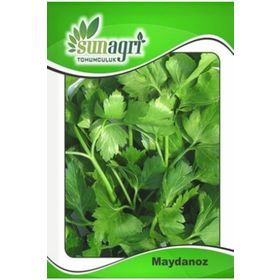 Sunagri 10 gr Maydonoz Tohumu