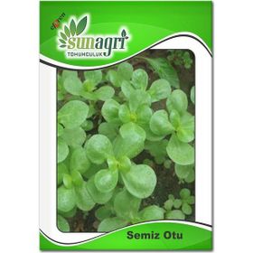 Sunagri 10 gr Semiz Otu Tohumu