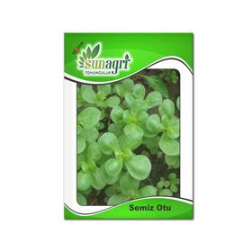 Sunagri 10 gr Semiz Otu Tohumu