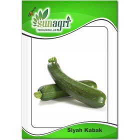 Sunagri 10 gr Siyah Kabak Tohumu