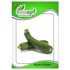 Sunagri 10 gr Siyah Kabak Tohumu