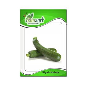 Sunagri 10 gr Siyah Kabak Tohumu