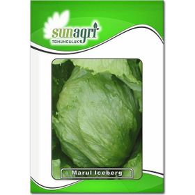 Sunagri 2 gr İceberg Marul Tohumu