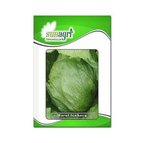 Sunagri 2 gr İceberg Marul Tohumu