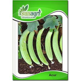 Sunagri Acur Sebze Tohumu