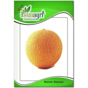 Sunagri Ananas Kavun Meyve Tohumu