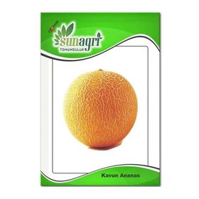 Sunagri Ananas Kavun Meyve Tohumu
