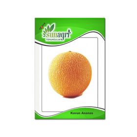 Sunagri Ananas Kavun Meyve Tohumu
