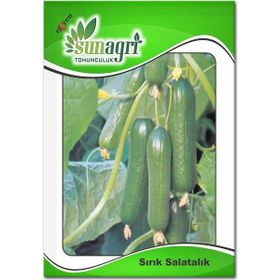 Sunagri Beith Alpha Salatalık Hıyar Sebze Tohumu