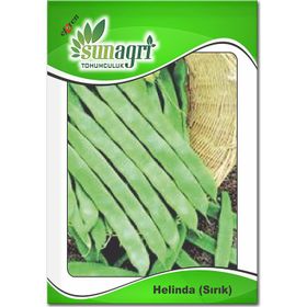 Sunagri Beril Fasulye Sebze Tohumu