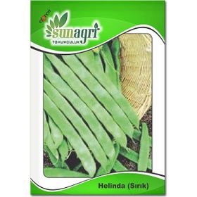 Sunagri Beril Fasulye Sebze Tohumu
