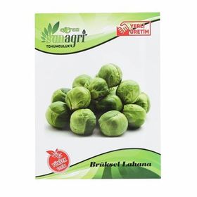 Sunagri Brüksel Lahana Sebze Tohumu
