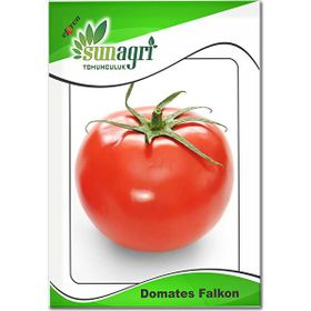 Sunagri Falcon Domates Sebze Tohumu