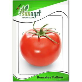 Sunagri Falcon Domates Sebze Tohumu