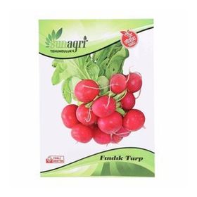 Sunagri Fındık Turp Sebze Tohumu