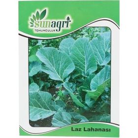 Sunagri Kara-Laz Lahanası Sebze Tohumu