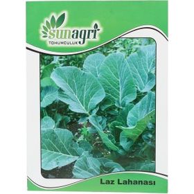 Sunagri Kara-Laz Lahanası Sebze Tohumu