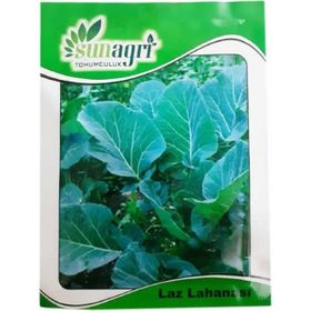 Sunagri Kara-Laz Lahanası Sebze Tohumu