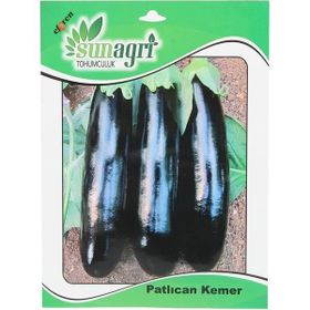 Sunagri Kemer Patlıcan Sebze Tohumu