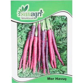 Sunagri Mor Havuç Sebze Tohumu