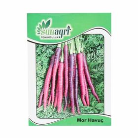 Sunagri Mor Havuç Sebze Tohumu