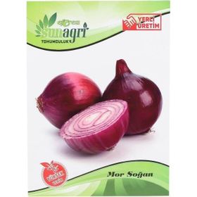 Sunagri Mor Soğan Sebze Tohumu