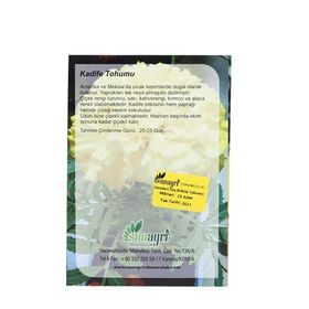 Sunagri Sarı Kadife Çiçek Süs Bitki Tohumu
