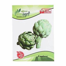 Sunagri TG-SNGR08 Enginar Sebze Tohumu