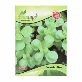 Sunagri TG-SNGR69 Semiz Otu Sebze Tohumu