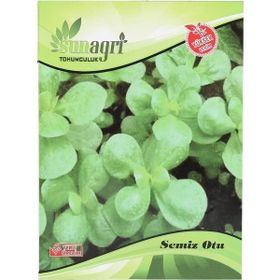 Sunagri TG-SNGR69 Semiz Otu Sebze Tohumu