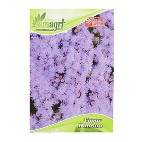 Sunagri Vapur Dumanı Çiçek Süs Bitki Tohumu