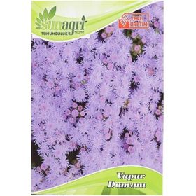 Sunagri Vapur Dumanı Çiçek Süs Bitki Tohumu