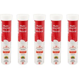 Sunlife Multivitamin Mineral 20 Efervesan Tablet