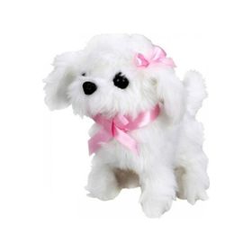 Sunman Sevimli Köpek Maltese