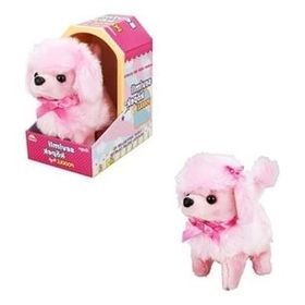 Sunman Sevimli Köpek Poodle