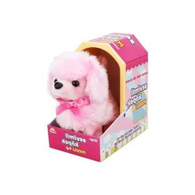Sunman Sevimli Köpek Poodle