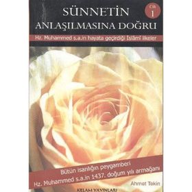 Sünnetin Anlaşılmasına Doğru 3 Cilt - Ahmet Tekin