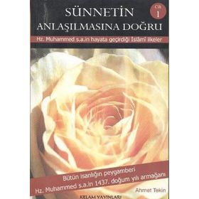 Sünnetin Anlaşılmasına Doğru 3 Cilt - Ahmet Tekin