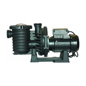 Superpool Scpa Serisi 2 Hp Monofaze Havuz Pompası