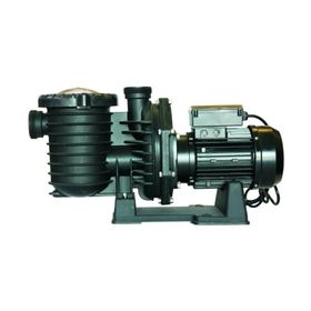 Superpool Scpa Serisi - 3 Hp Monofaze Havuz Pompası