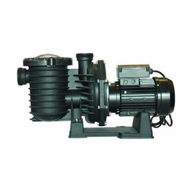 Superpool Scpa Serisi - 3 Hp Monofaze Havuz Pompası