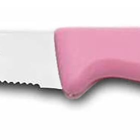 Sürbisa 61004-LZ Pembe Tırtıklı Uç Sebze Meyve Bıçağı
