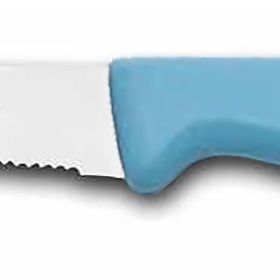 Sürbisa 61004-LZ Turkuaz Tırtıklı Uç Sebze Meyve Bıçağı