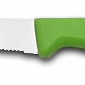 Sürbisa 61004-LZ Yeşil Tırtıklı Uç Sebze Meyve Bıçağı