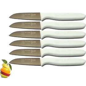Sürbısa 61007 Beyaz Saplı 6 Parça Meyve Bıçağı