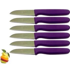 Sürbisa 61007 Mor Saplı 6 Parça Meyve Bıçağı