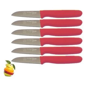 Sürbisa 61007 Nar Çiçeği 6 Parça Meyve Takım Bıçağı