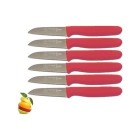 Sürbisa 61007 Nar Çiçeği 6 Parça Meyve Takım Bıçağı